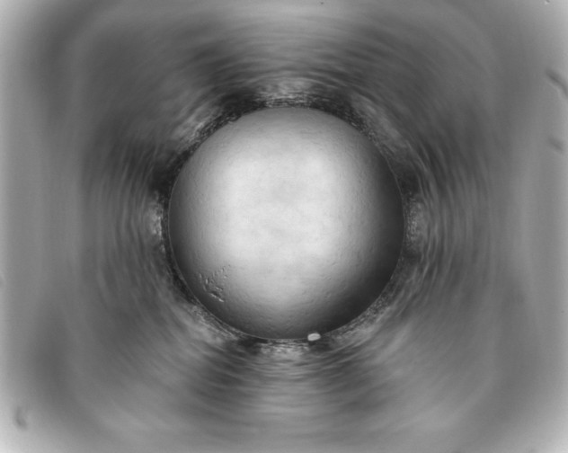 X0000093380282200710251224