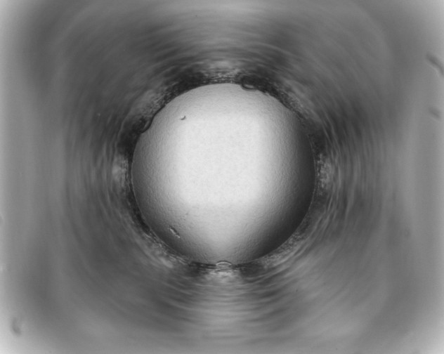 X0000093380283200710251224