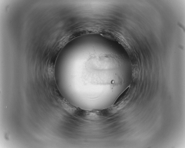 X0000093380285200710251224