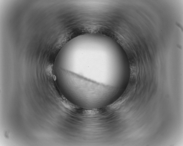 X0000093380286200710251224