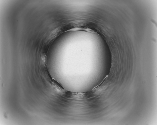 X0000093380288200710251224