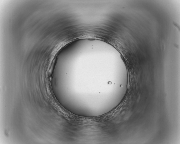 X0000093380289200710251223