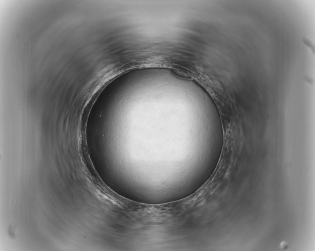 X0000093380290200710251223