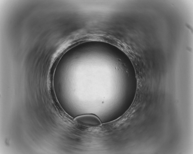 X0000093380294200710251223