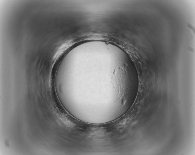 X0000093380296200710251223