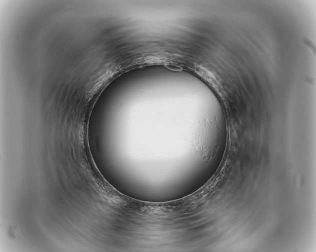 X0000093380297200710251223