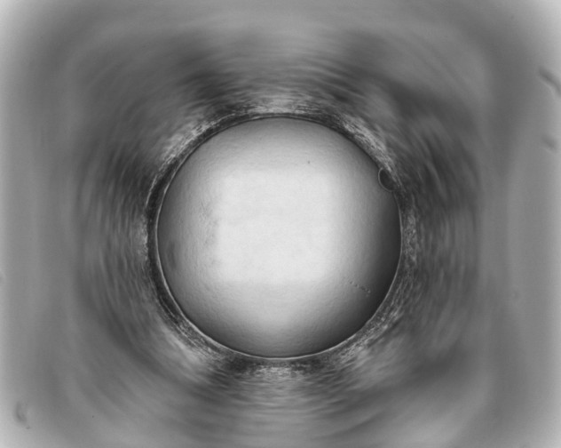 X0000093380298200710251223