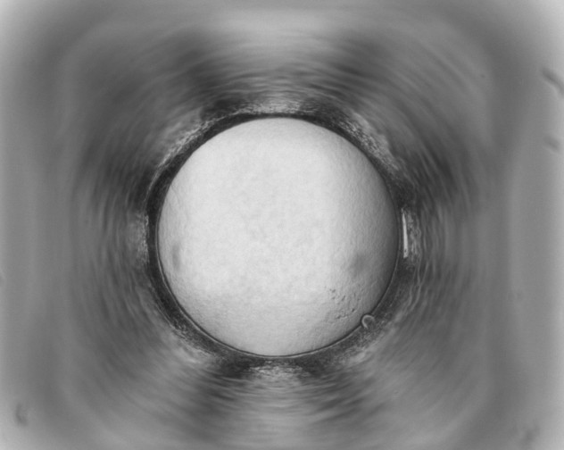 X0000093380300200710251223