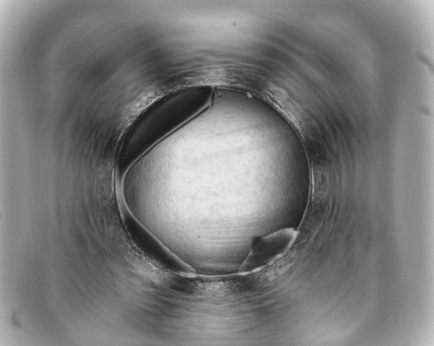 X0000093380301200710251223