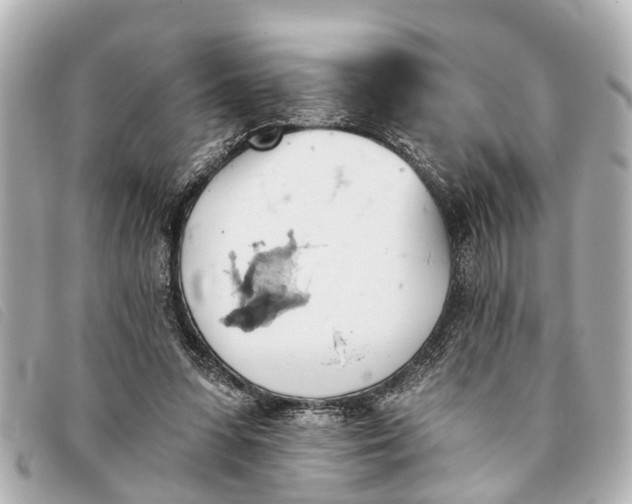 X0000093380303200710251223