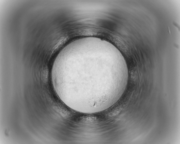 X0000093380304200710251223