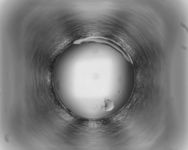 X0000093380305200710251223