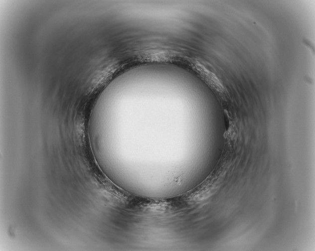 X0000093380306200710251223