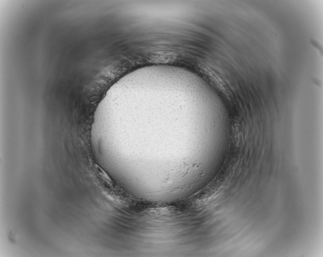 X0000093380307200710251223