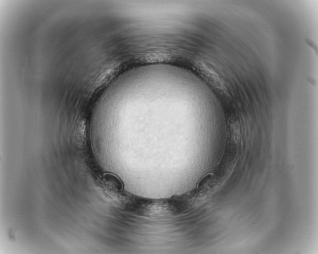 X0000093380308200710251223