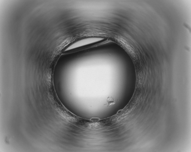 X0000093380309200710251223