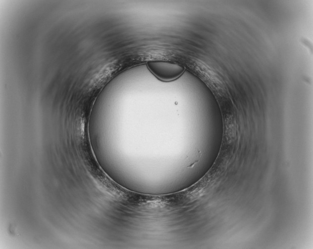 X0000093380310200710251223