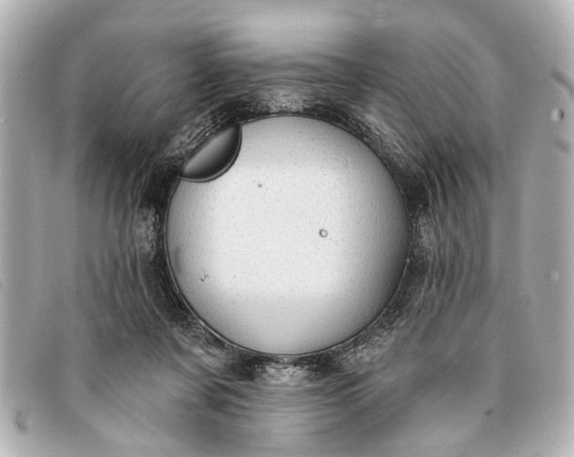 X0000093380311200710251223