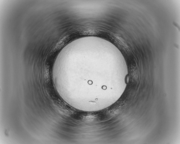 X0000093380312200710251223