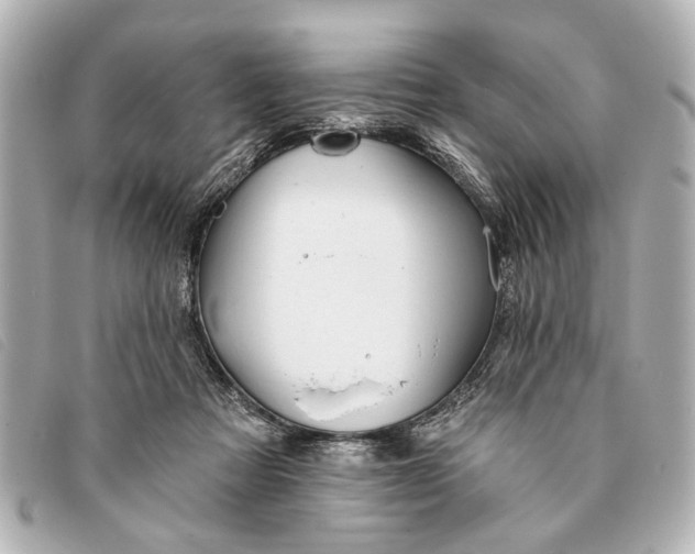 X0000093380313200710251223