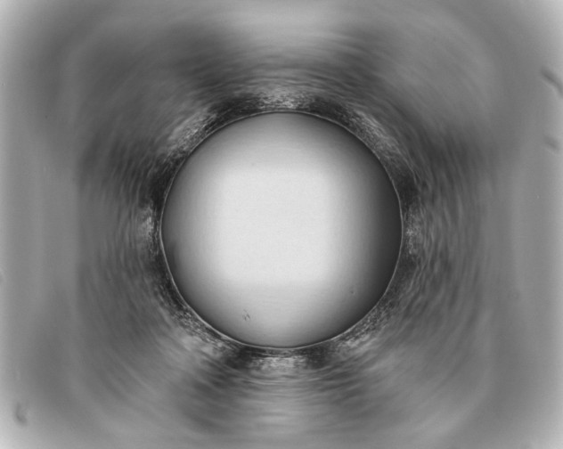 X0000093380314200710251223