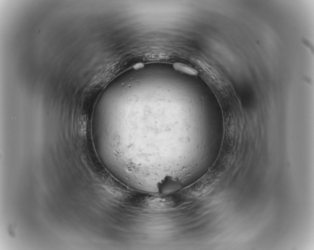 X0000093380315200710251223