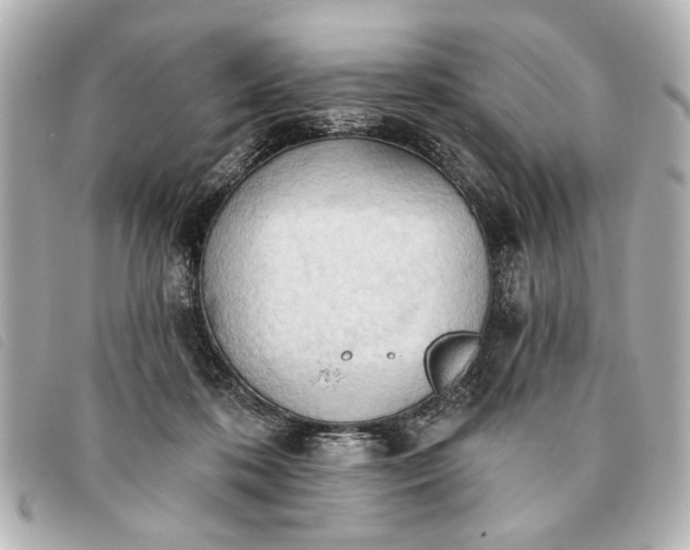 X0000093380316200710251223