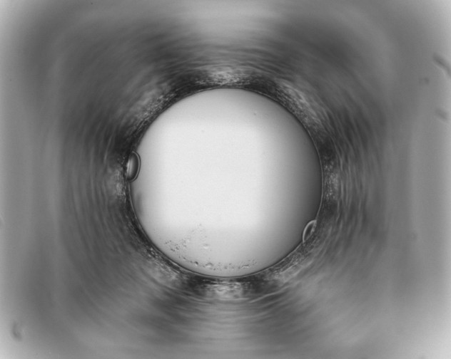 X0000093380317200710251223