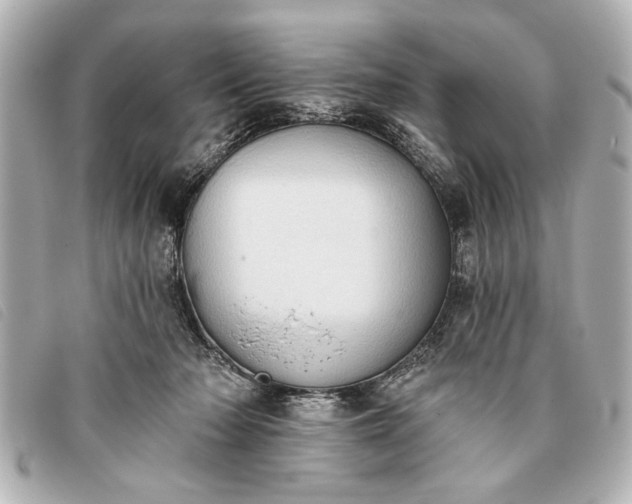 X0000093380318200710251223