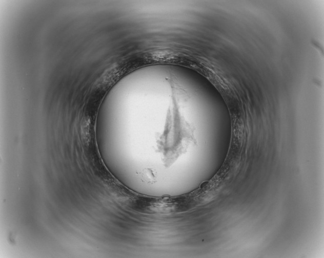 X0000093380319200710251223