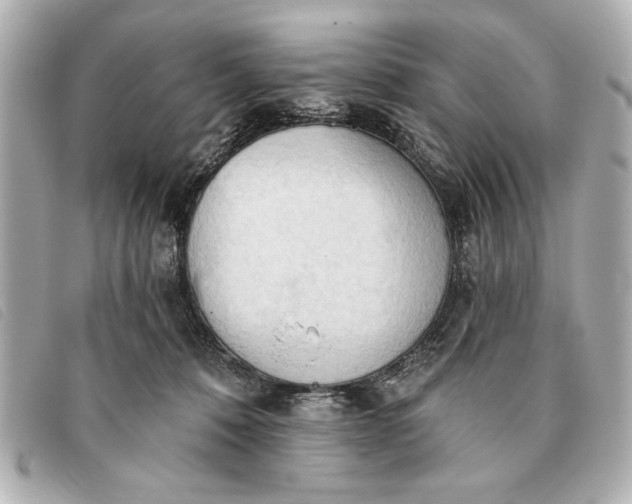 X0000093380320200710251223