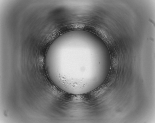 X0000093380321200710251223