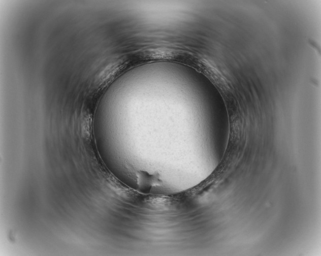 X0000093380325200710251223