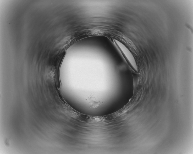 X0000093380329200710251223