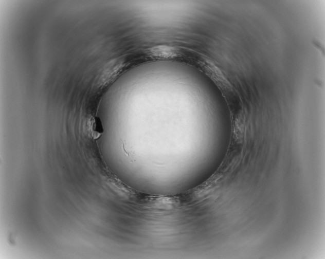 X0000093380330200710251223