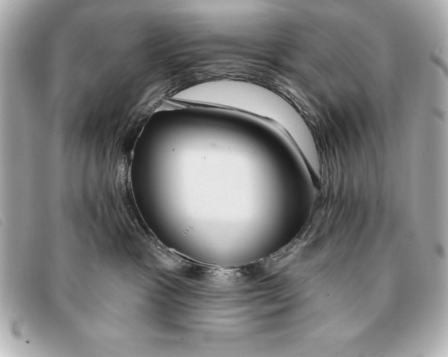 X0000093380333200710251223