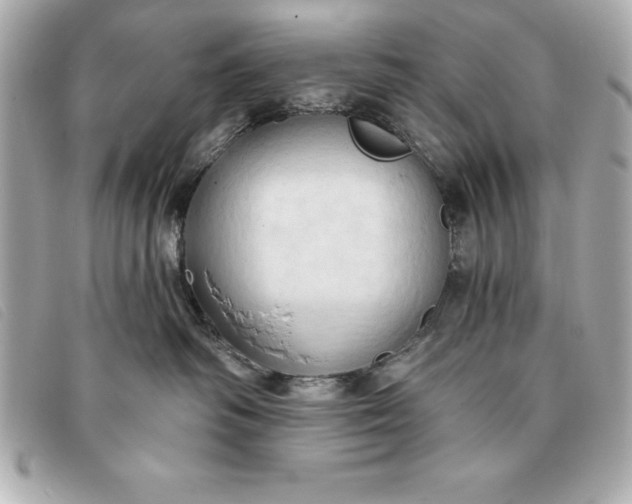 X0000093380334200710251223