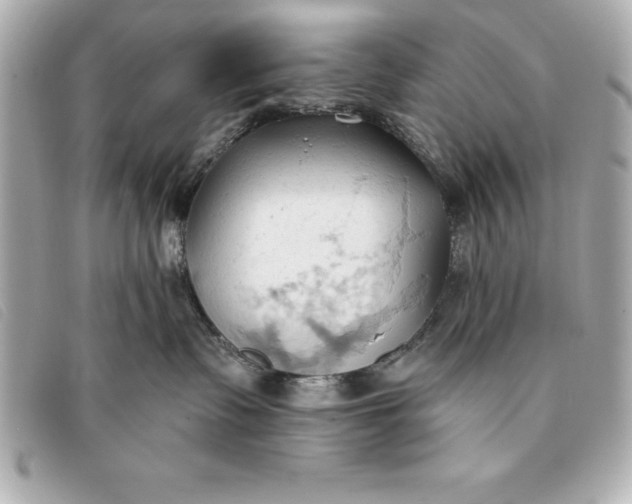 X0000093380335200710251223