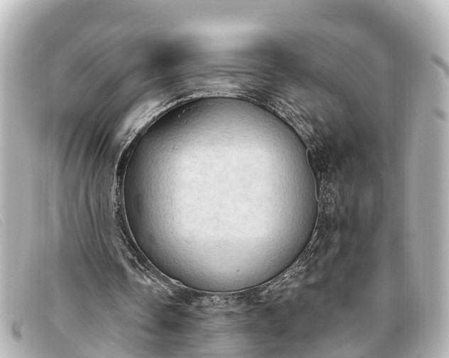 X0000093380338200710251222