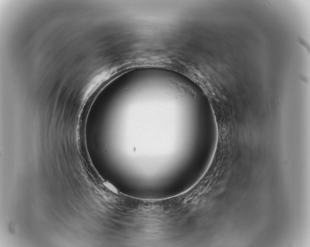 X0000093380340200710251222