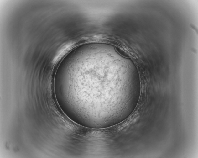 X0000093380341200710251222
