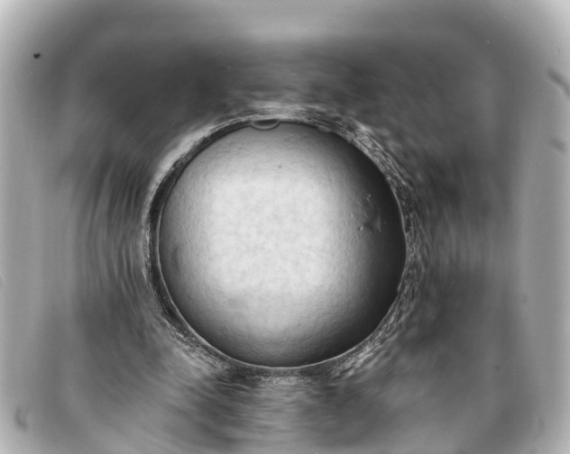 X0000093380342200710251222