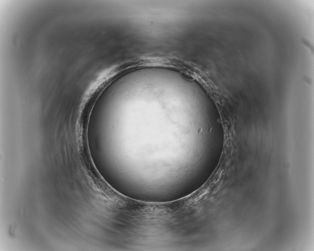 X0000093380343200710251222