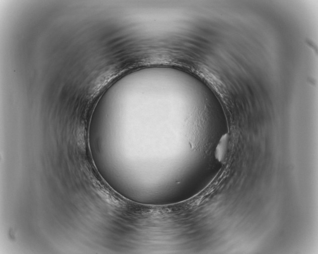 X0000093380345200710251222