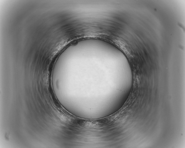 X0000093380346200710251222