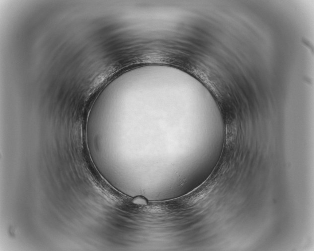 X0000093380349200710251222