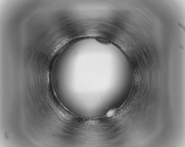 X0000093380350200710251222