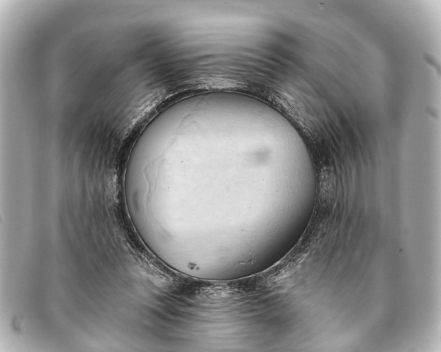 X0000093380351200710251222