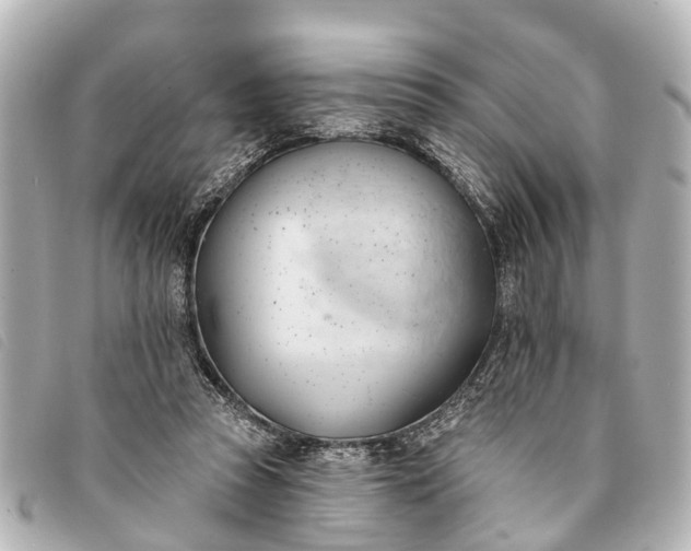 X0000093380353200710251222