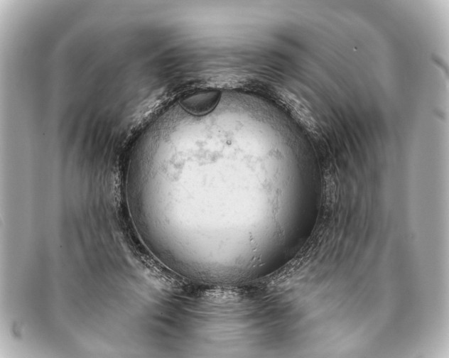 X0000093380354200710251222